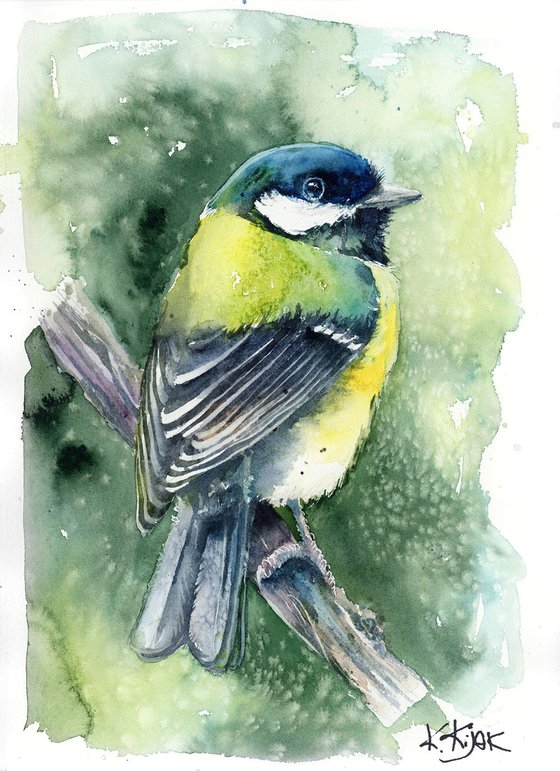 Great Tit, wildlife, birds watercolours