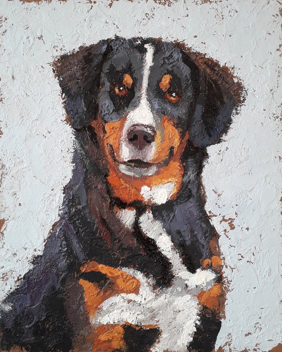 Dog portrait.