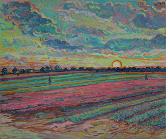 Tulip field sunset