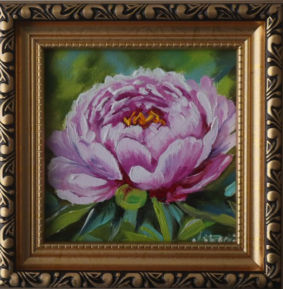 Peony Painting Framed