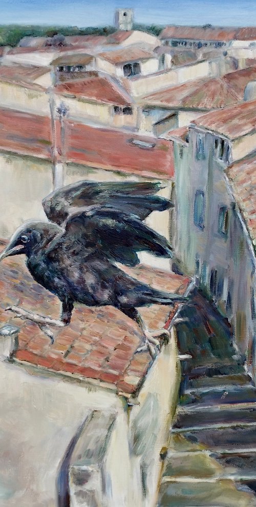 Crow On The Roof in Montpellier by Jura Kuba Art