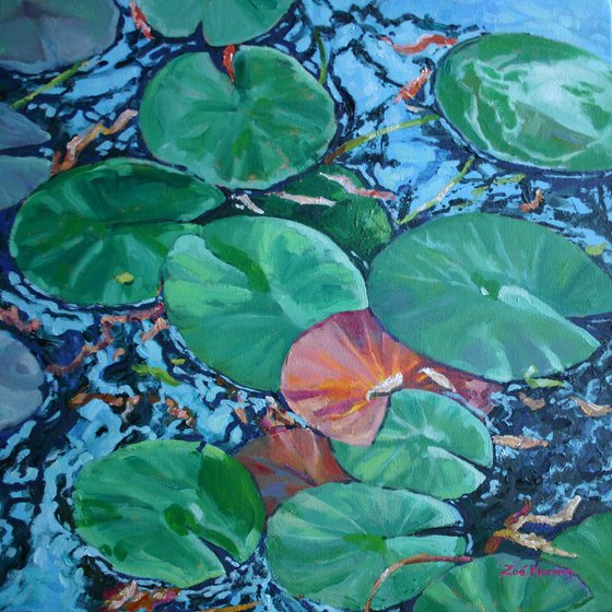Water Lily Pads