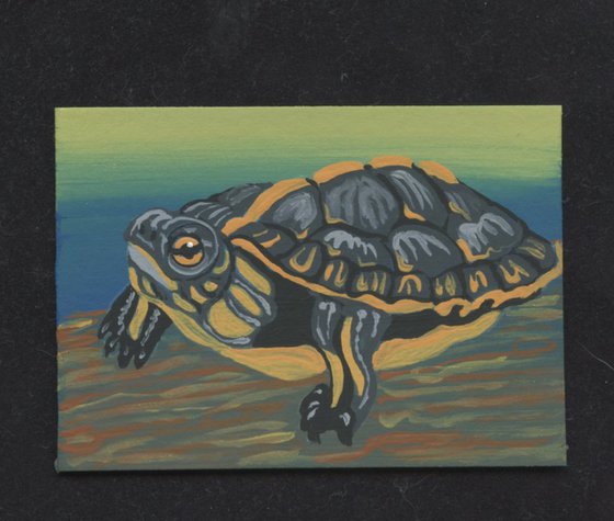 ACEO ATC Original Miniature Painting Painted Turtle Wildlife Art-Carla Smale