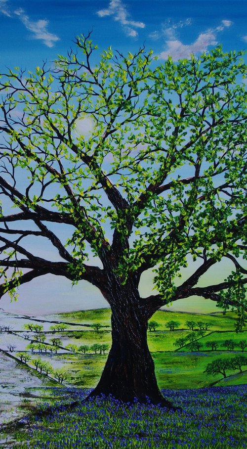 Oak of Winter to Spring by Hazel Thomson