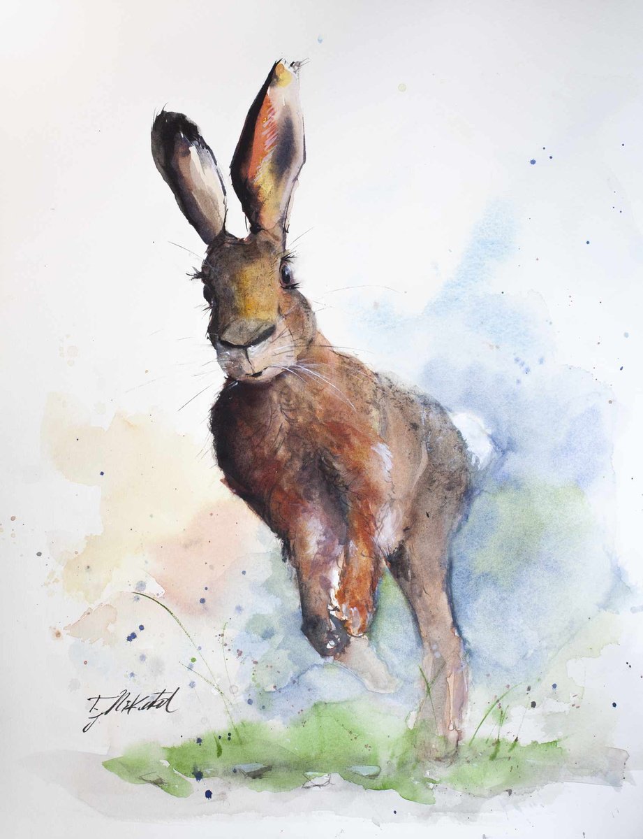 Landscape Watercolour By Tomasz Mikutel, 12 X 16", Hare Ii, Original Artwork