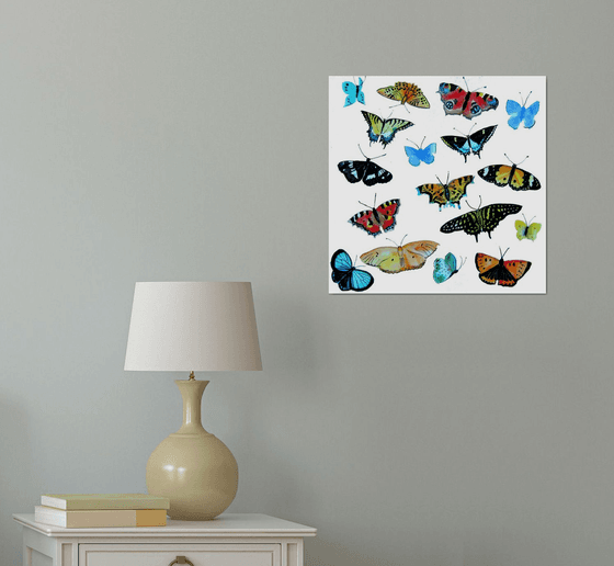 Glorious Butterflies