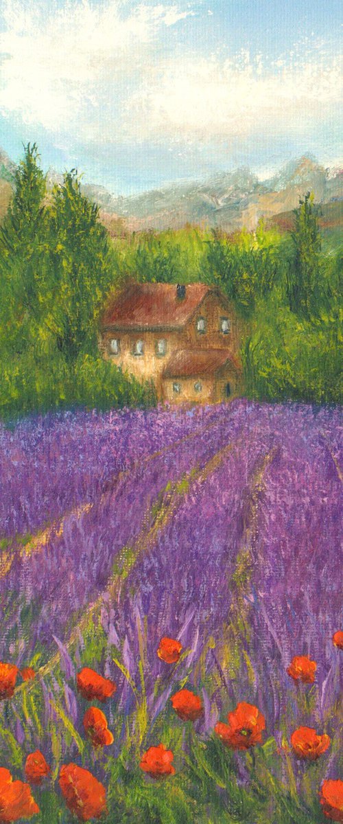 Lavender field by Ludmilla Ukrow