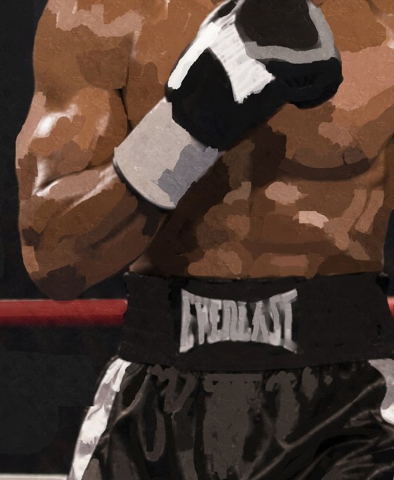 THE BOXER