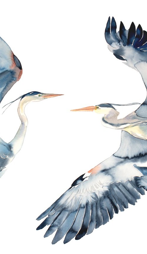 Herons in Flight by Elizabeth Becker