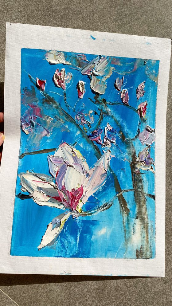 Magnolia Blossom Oil Study