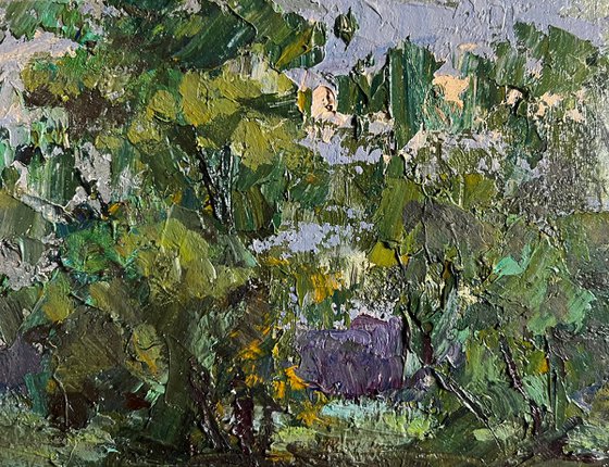 Along the Country Road