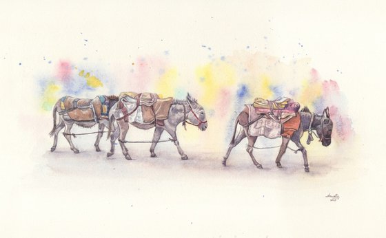Three donkeys on the road