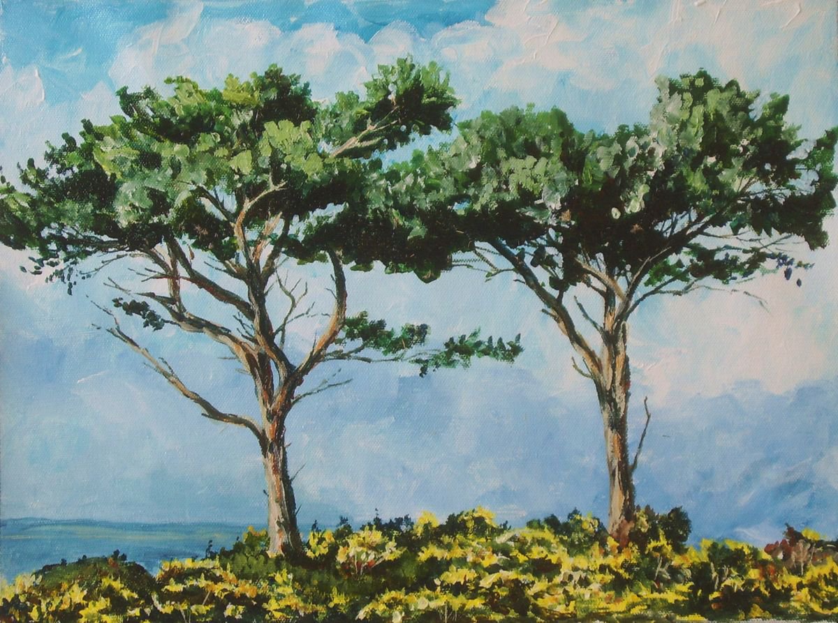 Pines on Sky Hill - Isle of Man by Max Aitken