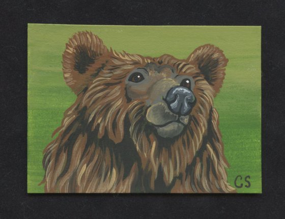 ACEO ATC Original Miniature Painting Brown Bear Wildlife Art-Carla Smale