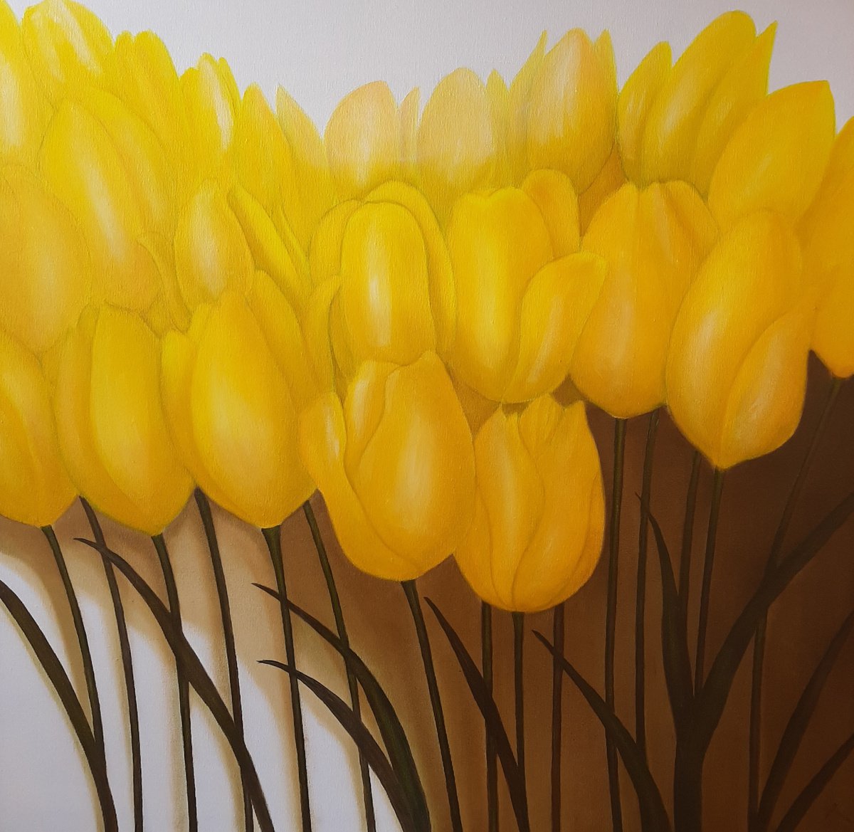 Yellow Tulips by olga formisano