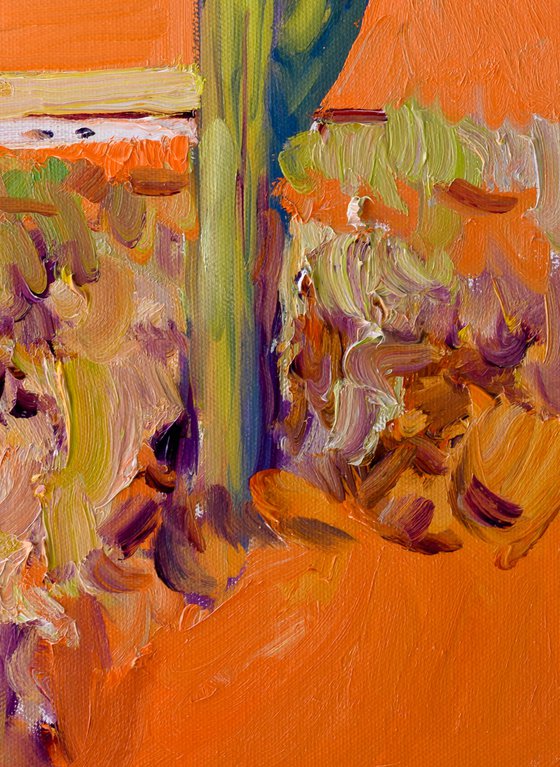Cactuses in Desert