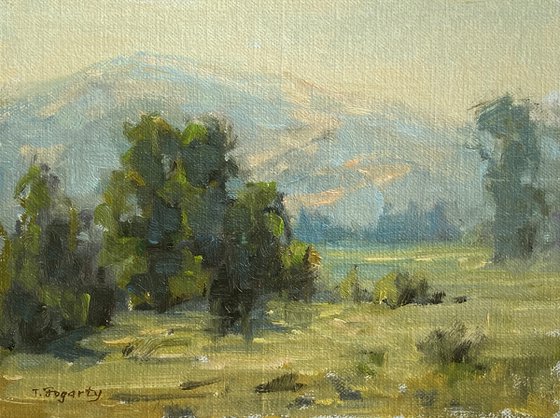 Summer Foothills II Landscape