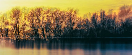 End Of Winter Abstract Limited Edition Trees and Lake Landscape Print #1/10
