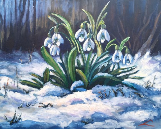 Snowdrops 5