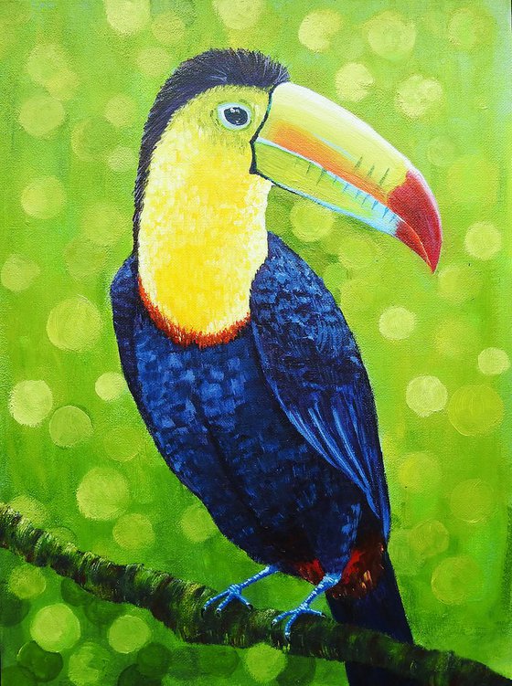 Toucan Reserved for N.B.