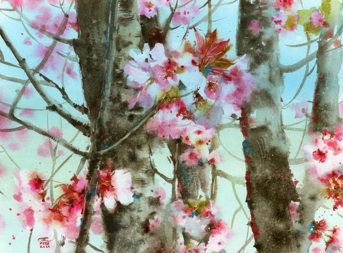 Cherry blossoms. by Tatyana Tokareva