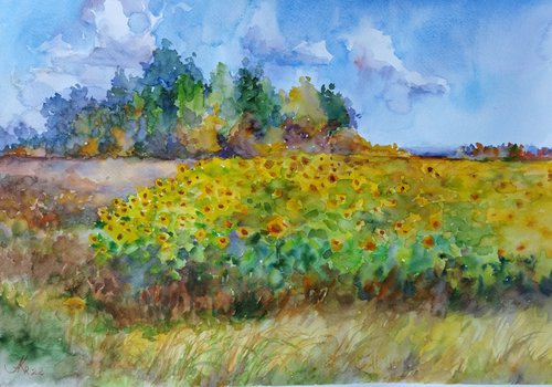 Yellow sunflowers field by Ann Krasikova