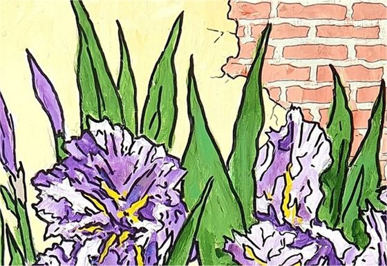 irises 6
