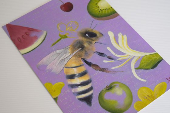Honey Bee - Apis Mellifera