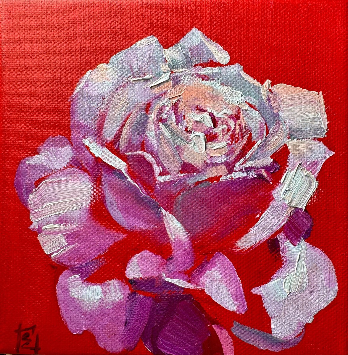 Red Rose By Olena Hromova, 6 X 6, Artwork For Sale On Artfinder