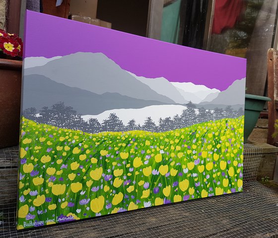 Buttercups above Loweswater, Lake District