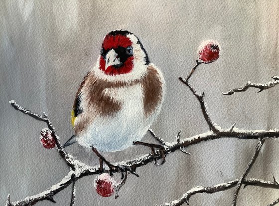 Goldfinch