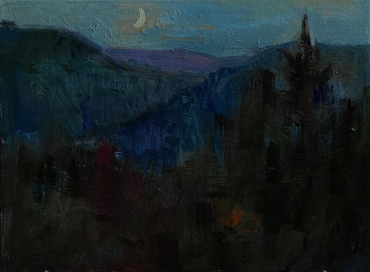 Moonlit night by Bohdan Dobrivskyi