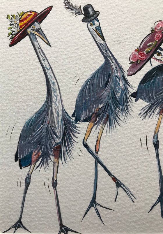 Herons in hats