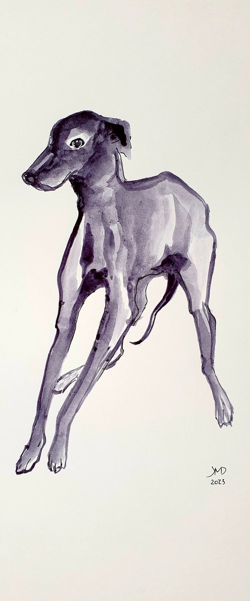 Grayhound by Ksenia June
