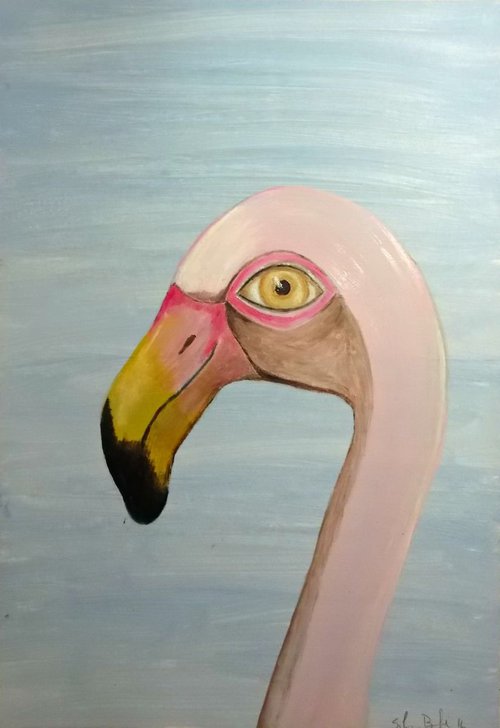 The pink flamingo by Silvia Beneforti