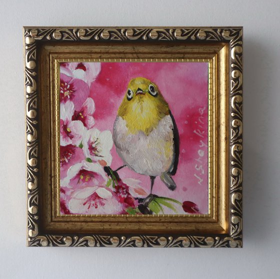 Bird on Blossom Branch, Spring Birds