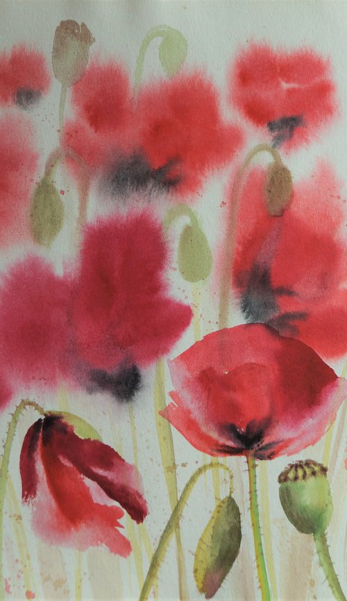 Poppies by Monica Rus