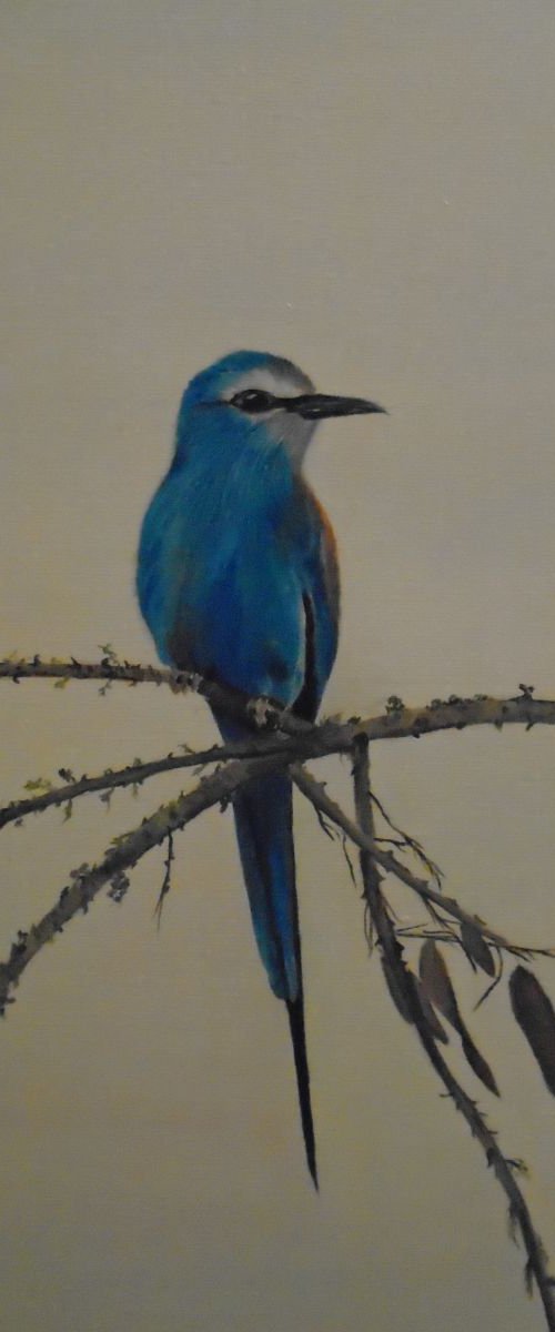 Little Winter Bird by Timea  Valsami
