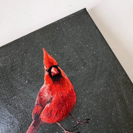 Cardinal reminder