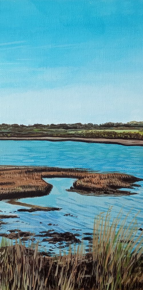 Yarmouth Marshes  -12x10in by Kitty  Cooper