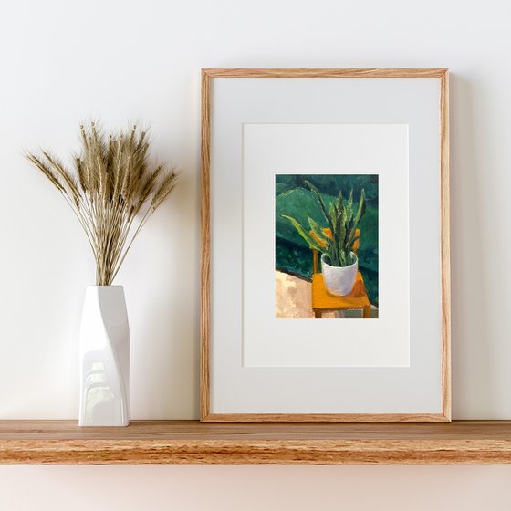 Sanseveria in White Pot Study
