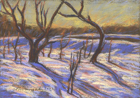 Orchard in Winter