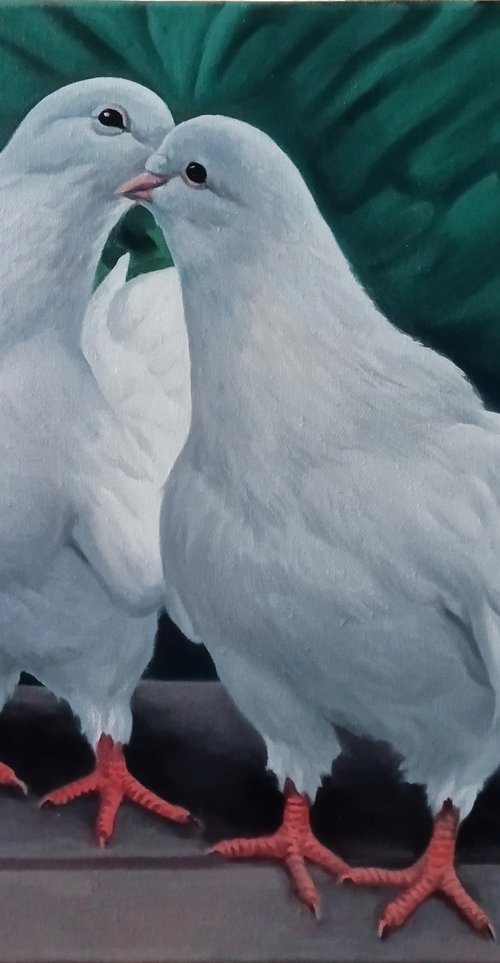 White Pigeons in Love by Tamar Nazaryan