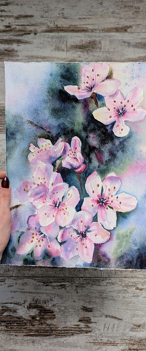 Cherry Blossom by Maryna Boiko