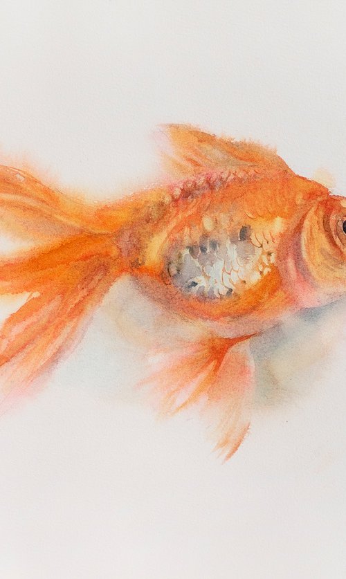Goldfish by Ekaterina Pytina