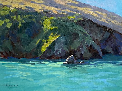 Albion Cove Rocks And Sea by Tatyana Fogarty