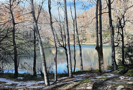 Lakeside Harmony - Landscape