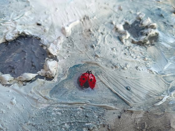 Ladybugs On The Moon
