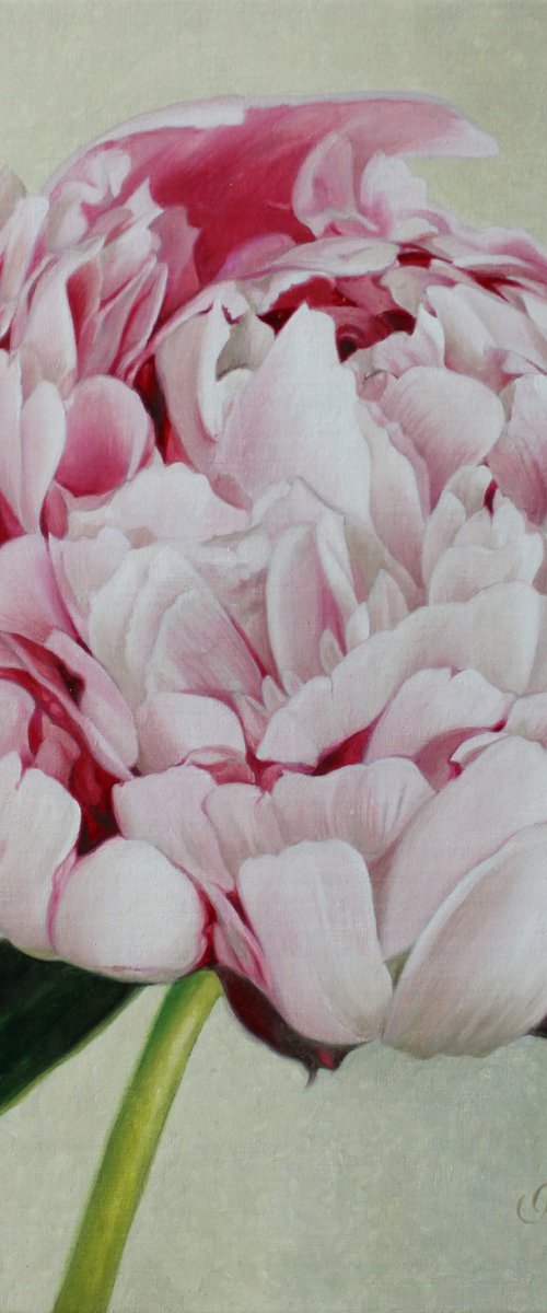 One of the first by Julia Diven