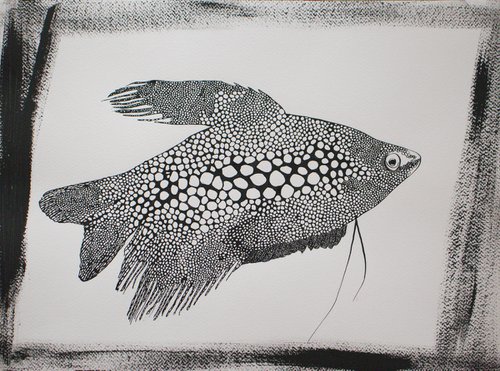 "Fish I" by Evgeniq Ivanova